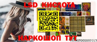 прущие грибы Усть-Джегута