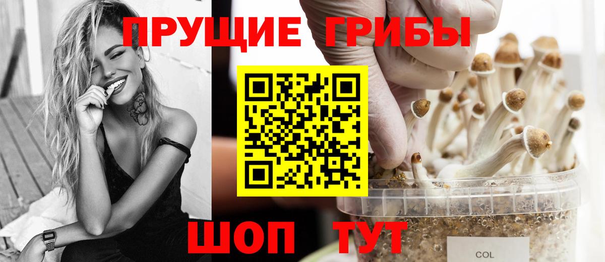 Псилоцибиновые грибы GOLDEN TEACHER  Вход с VPN  Александров 